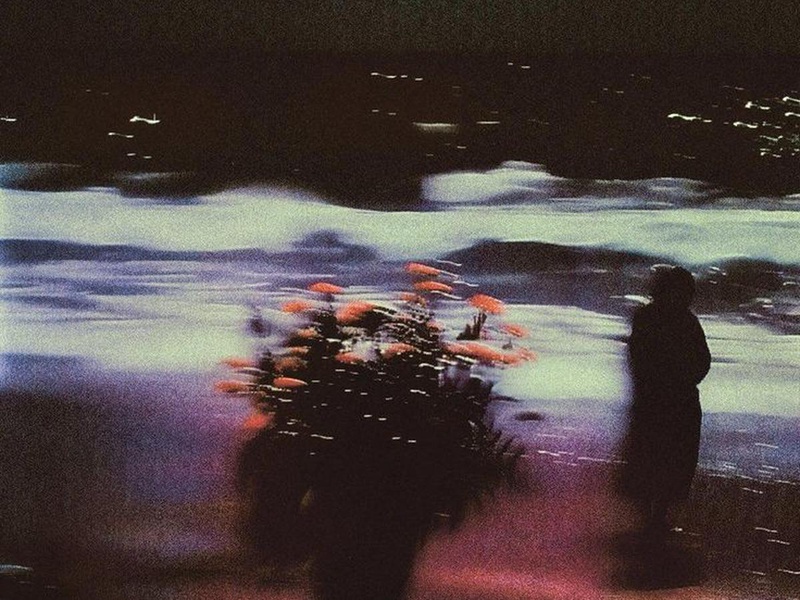 insight image