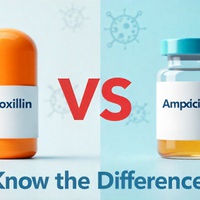 Amoxicillin VS Ampicillin — What is the Real Difference