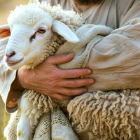 The Shepherd and His Sheep
