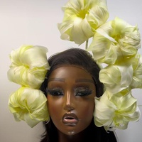 Why Viral Videos won't Make you a Master