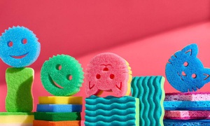 Sponge