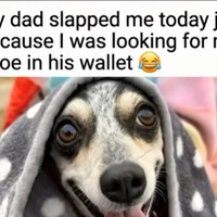 The Great Shoe-in-the-Wallet Mystery: A Comedy of Errors