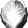 The Power Of Creative And Critical Thinking