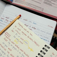 Days 3-5