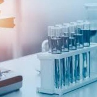 THE BEDROCK OF MODERN MEDICINE