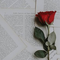 This is an interesting perspective if you are a poet.