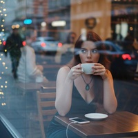 THE LADY BY THE WINDOW