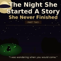 The Night She Started A Story She Never Finished (Part Two)