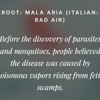 Dear Malaria