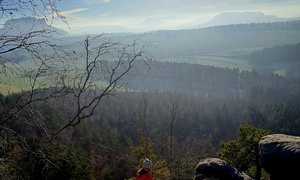 Are you coming with a visitor?