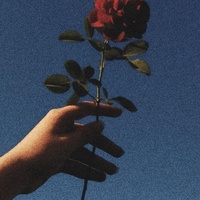 may like you