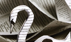 The paper swan