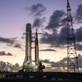 insight image