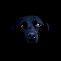 ANIMA