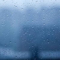 What The Rain Remembers