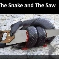 The Snake and the Saw