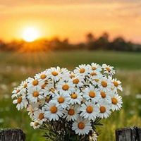 beautiful surviving days... ✨