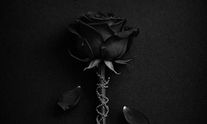 The cruelty of love