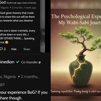 The Experience: My Wabi-Sabi journey_(2) Depression sets in.....