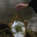 Mirror, Mirror