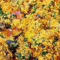 insight image
