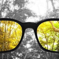 Colours Most People Don’t Even See"
