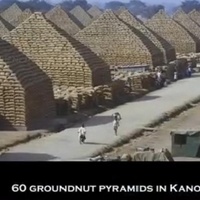 THE NIGERIAN ELITE OF 1900s