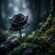 Black Rose