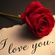 NOTHING FOREVER