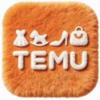 Temu ambassador