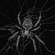 The Black Widow (Part 1)