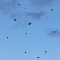 When the Silence Is Loud –Faith Stretches– Episode 2