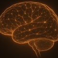 insight image