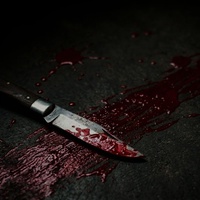 WHO, KILLED MADAM (Kitchen series)