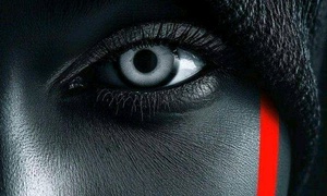 HOW FAST AND CURIOUS THEY ARE