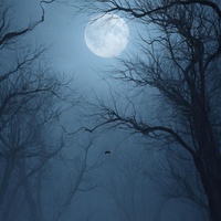 EERIE NIGHT