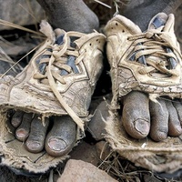 The love of a mother