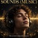 SOUNDS (MUSIC 🎵🎶)