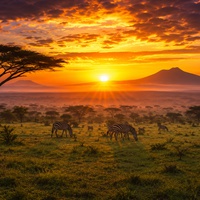 THE BEAUTY OF THE AFRICAN DAWN