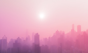 The World Is A Reflection Of The Mind