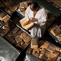 The Manuscripts They Tried to Destroy.