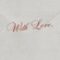 💌 the love letter