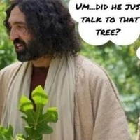 Sunday Twists S1E4... unraveled