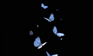 What I Wanted To Tell Someone