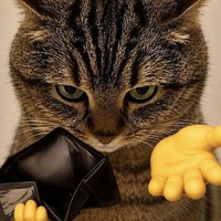 BRIBE ME!