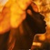 I'm dark skinned, So What?