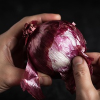 Layered Onions