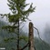 A Call To Resilience