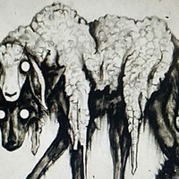 THE HALOED WOLF