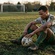 Goal Ball